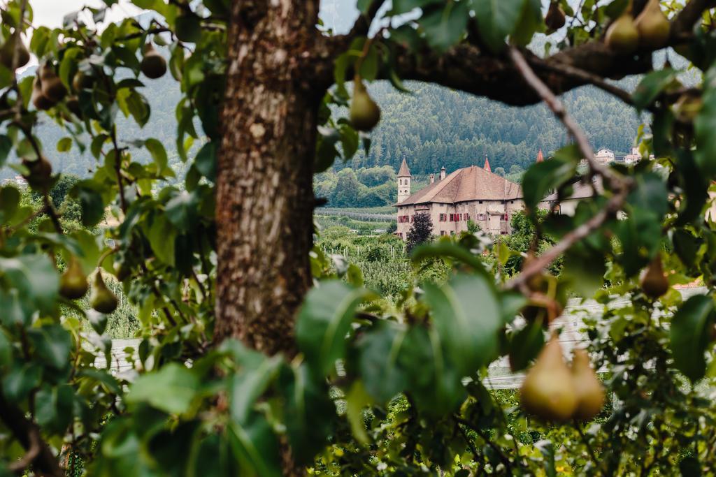 Felsenegg Hotel นาลเลส ภายนอก รูปภาพ