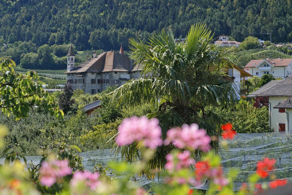 Felsenegg Hotel นาลเลส ห้อง รูปภาพ
